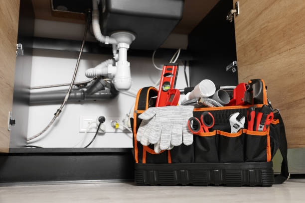 Best Plumbing Inspection Services  in Merton, WI