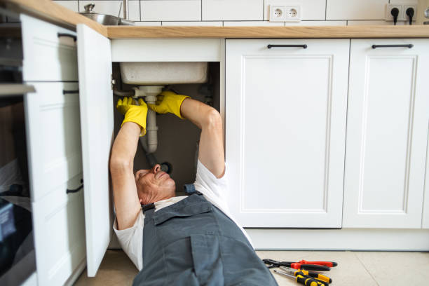 Best Plumbing Services Near Me  in Merton, WI