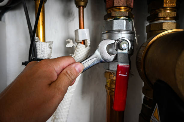 Best Hot Water Heater Installation  in Merton, WI